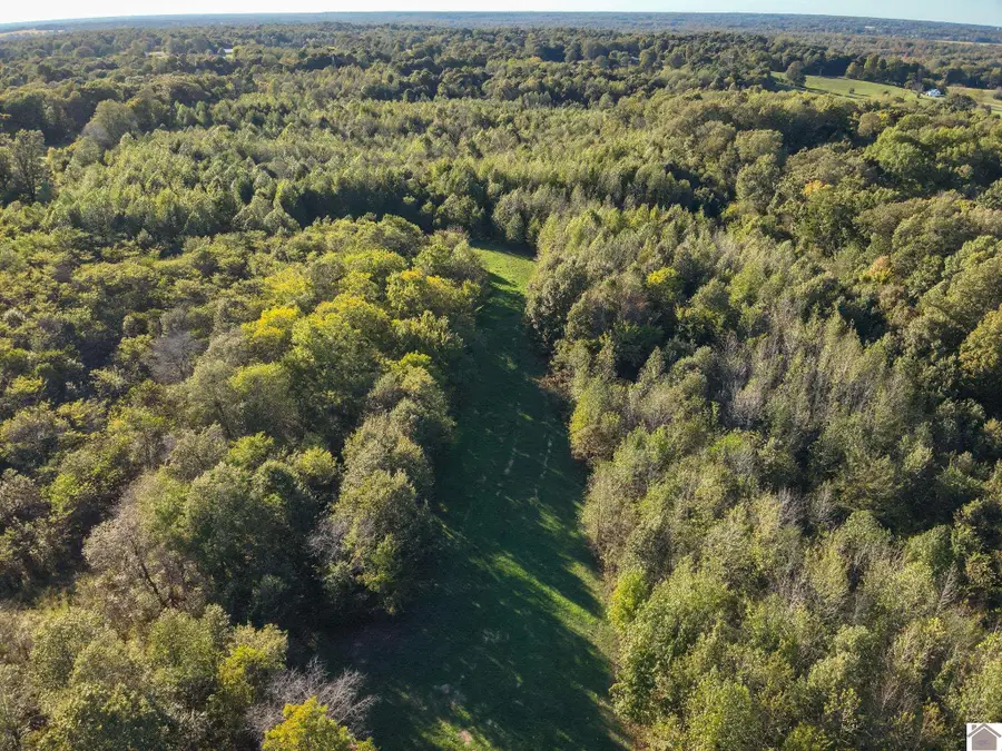 115 County Road 1039, Bardwell, KY 42023 - Image #2