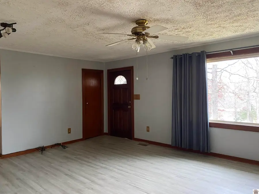 191 Hill Road, Grand Rivers, KY 42045 - Image #3