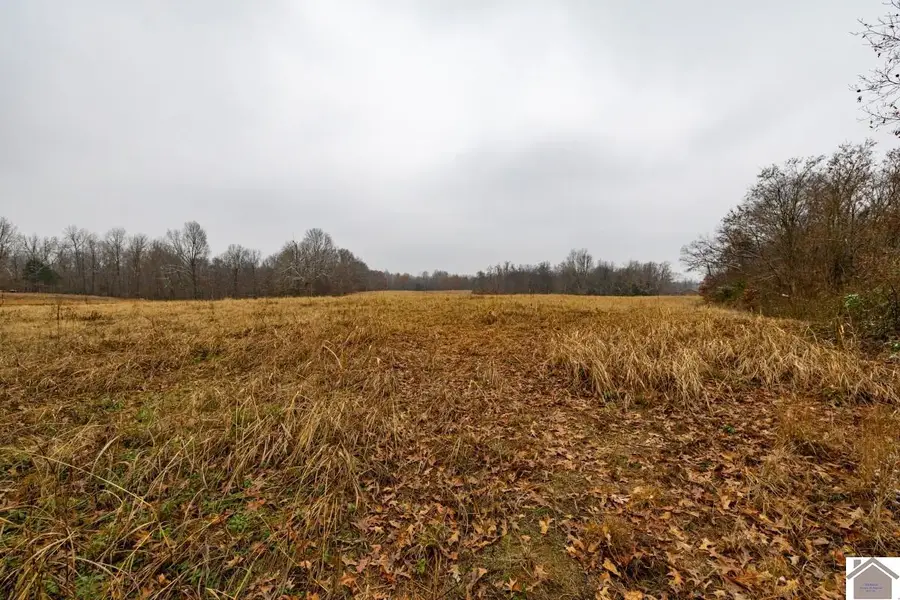 000 State Route 58 West, Mayfield, KY 42066 - Image #3