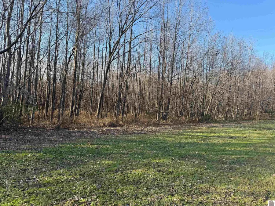 1931 Ky 1710, Mayfield, KY 42066 - Image #2