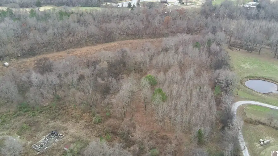 00 Beyer Lane, Lone Oak, KY 42001 - Image #3