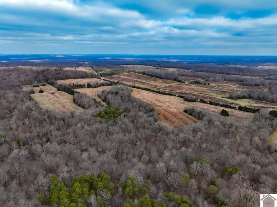 11405 State Route 120, Marion, KY 42064 - Image #3