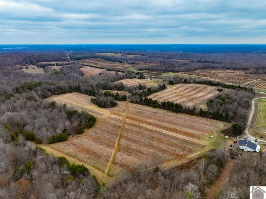 11405 State Route 120, Marion, KY 42064 - Image #2