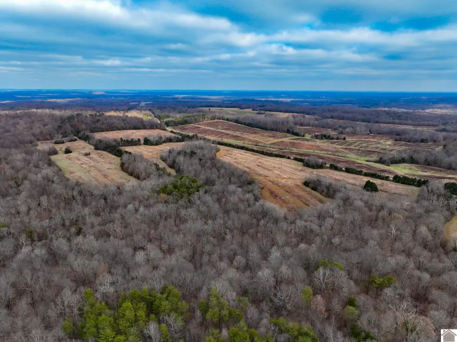 11405 State Route 120, Marion, KY 42064 - Image #2