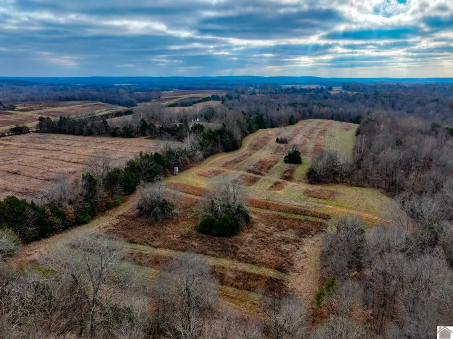 11405 State Route 120, Marion, KY 42064 - Image #3