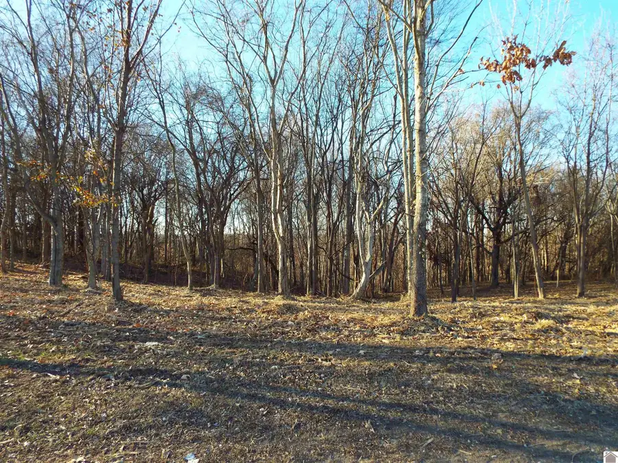 304 Nanney Neal Rd, Hardin, KY 42048 - Image #2