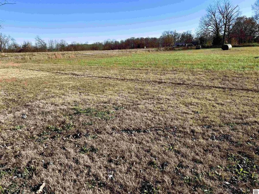 4321 Kingston Road, Fulton, KY 42041 - Image #3