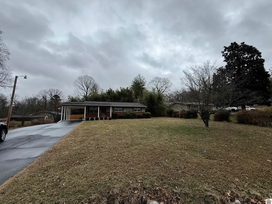 124 Division Street, Grand Rivers, KY 42045 - Image #2