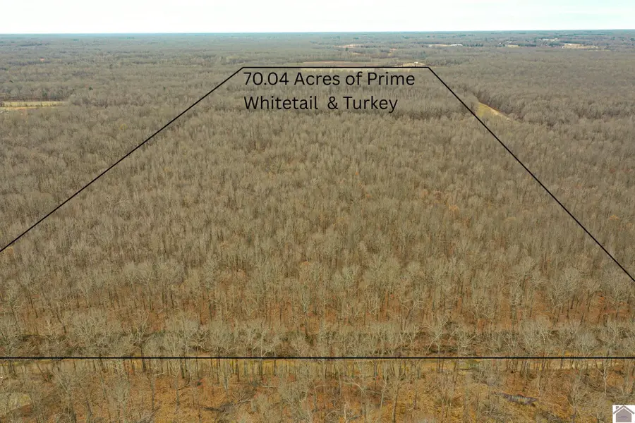 1385 Mayes Ln, Paducah, KY 42003 - Image #2