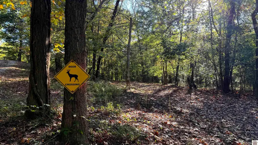 84 Gilstrap Rd., Morgantown, KY 42261 - Image #3