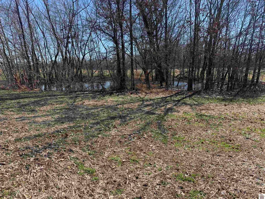 8505 Kentucky Highway 3520, West Paducah, KY 42086 - Image #3