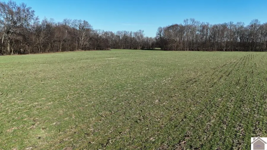 000 Erwin Road, Murray, KY 42071 - Image #3