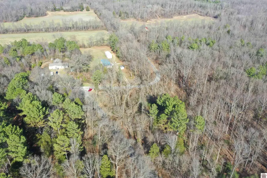 0 Austin Springs Rd, Dukedom, TN 38226 - Image #3