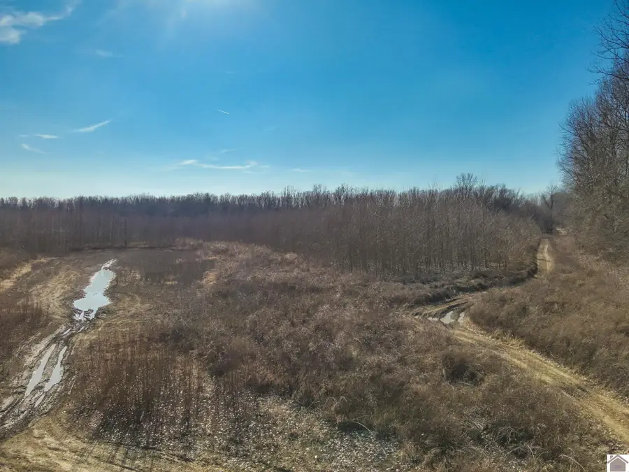 0 Lower River Road, Arlington, KY 42021 - Image #3