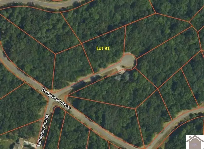 Lot 91 Streetland, Murray, KY 42071 - Image #1
