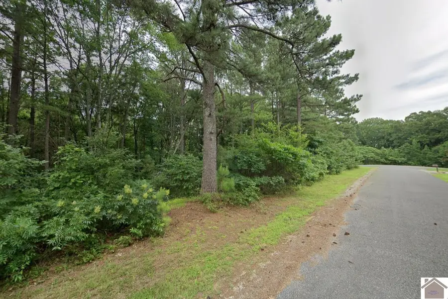 Lot 91 Streetland, Murray, KY 42071 - Image #3