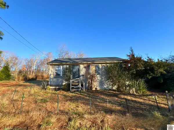 62 Pace Ln, Hardin, KY 42048