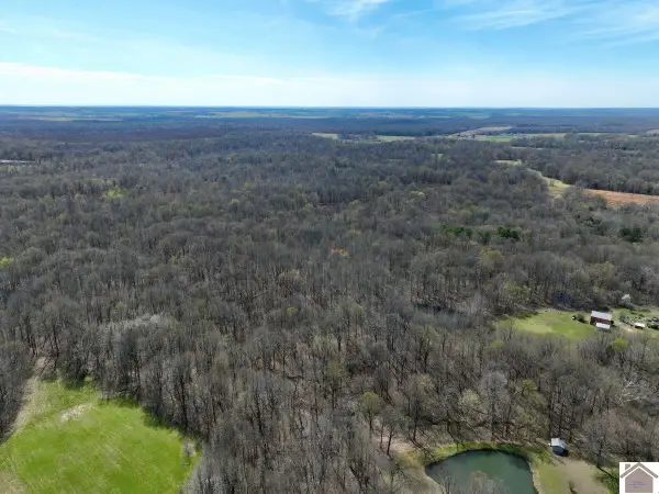 000 State Route 1748, Fancy Farm, KY 42039