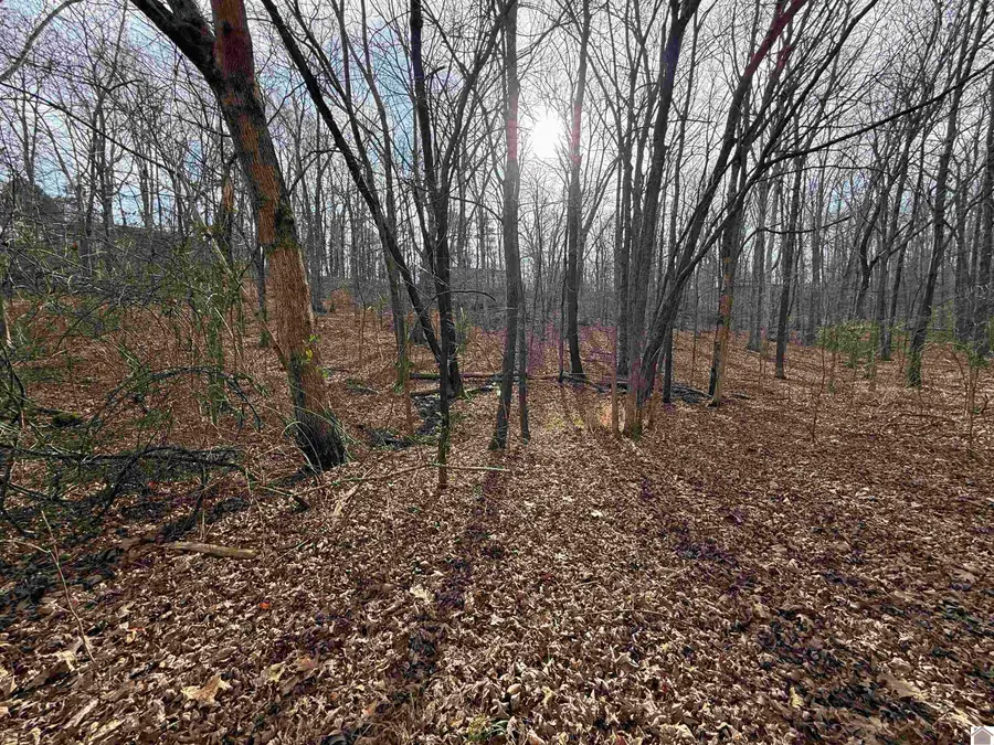 000 Waterway Trail, New Concord, KY 42076 - Image #2