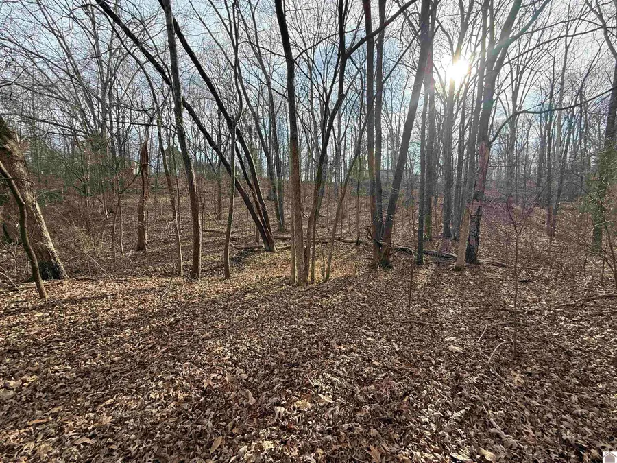 000 Waterway Trail, New Concord, KY 42076 - Image #3