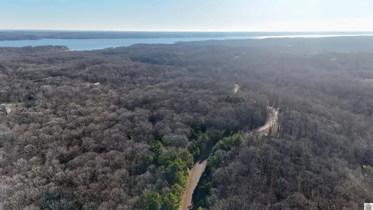 000 Hills Hollow Rd, Murray, KY 42071 - Image #1