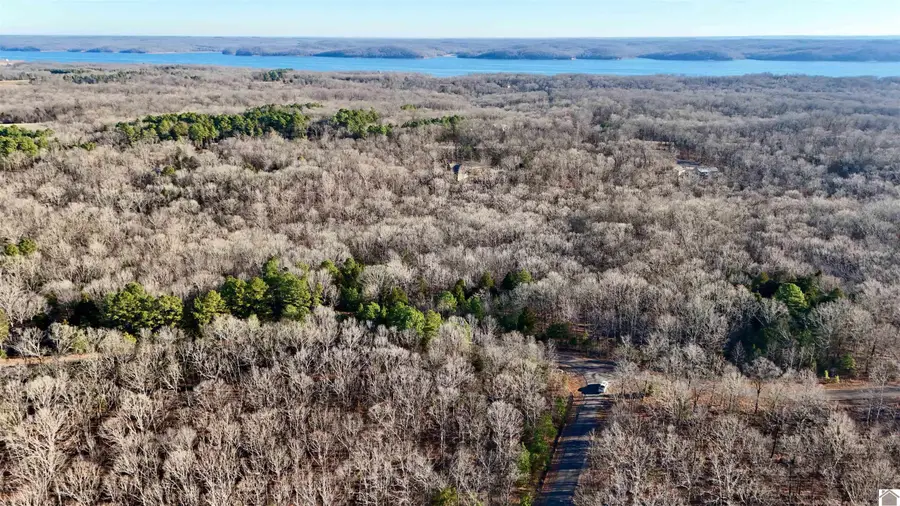 000 Hills Hollow Rd, Murray, KY 42071 - Image #3