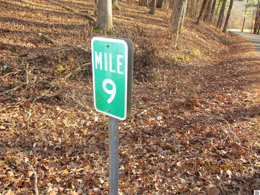 00 Downing Rd, Kirksey, KY 42054 - Image #2