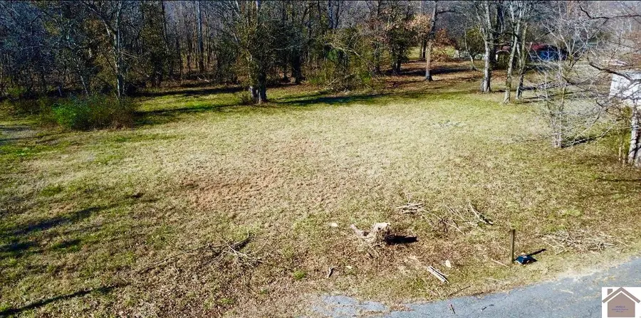 1513 Alexander Avenue, Paducah, KY 42003 - #3