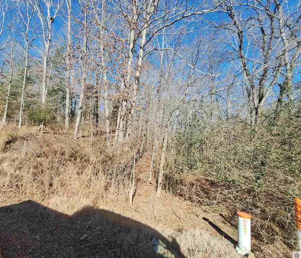 00 Center Ridge Road, Murray, KY 42071