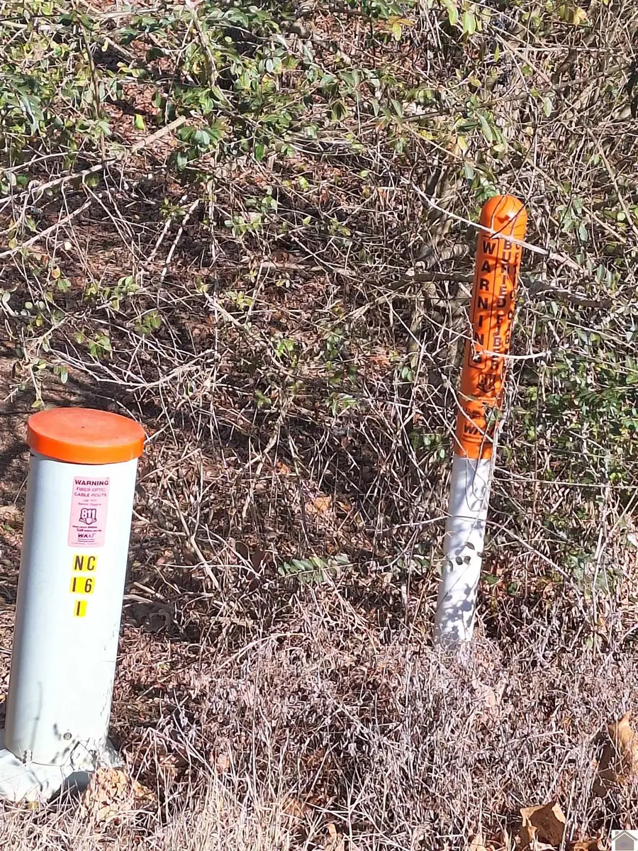 00 Center Ridge Road, Murray, KY 42071 - #2