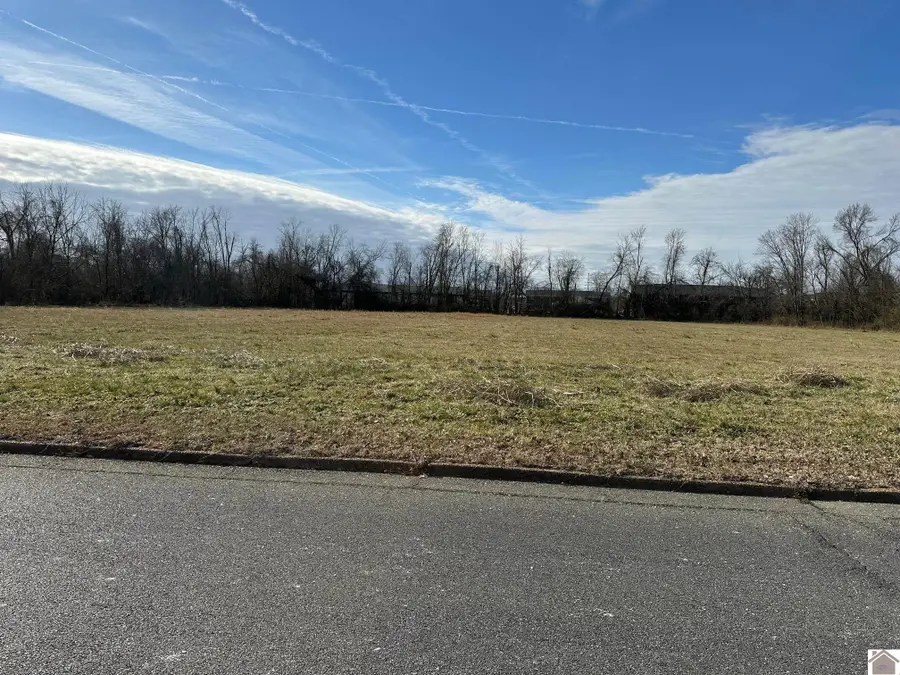 613 S 10th Street, Mayfield, KY 42066 - Image #2