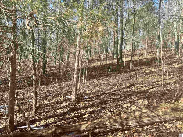 Lots 34&35 Canton Heights 2, Cadiz, KY 42211