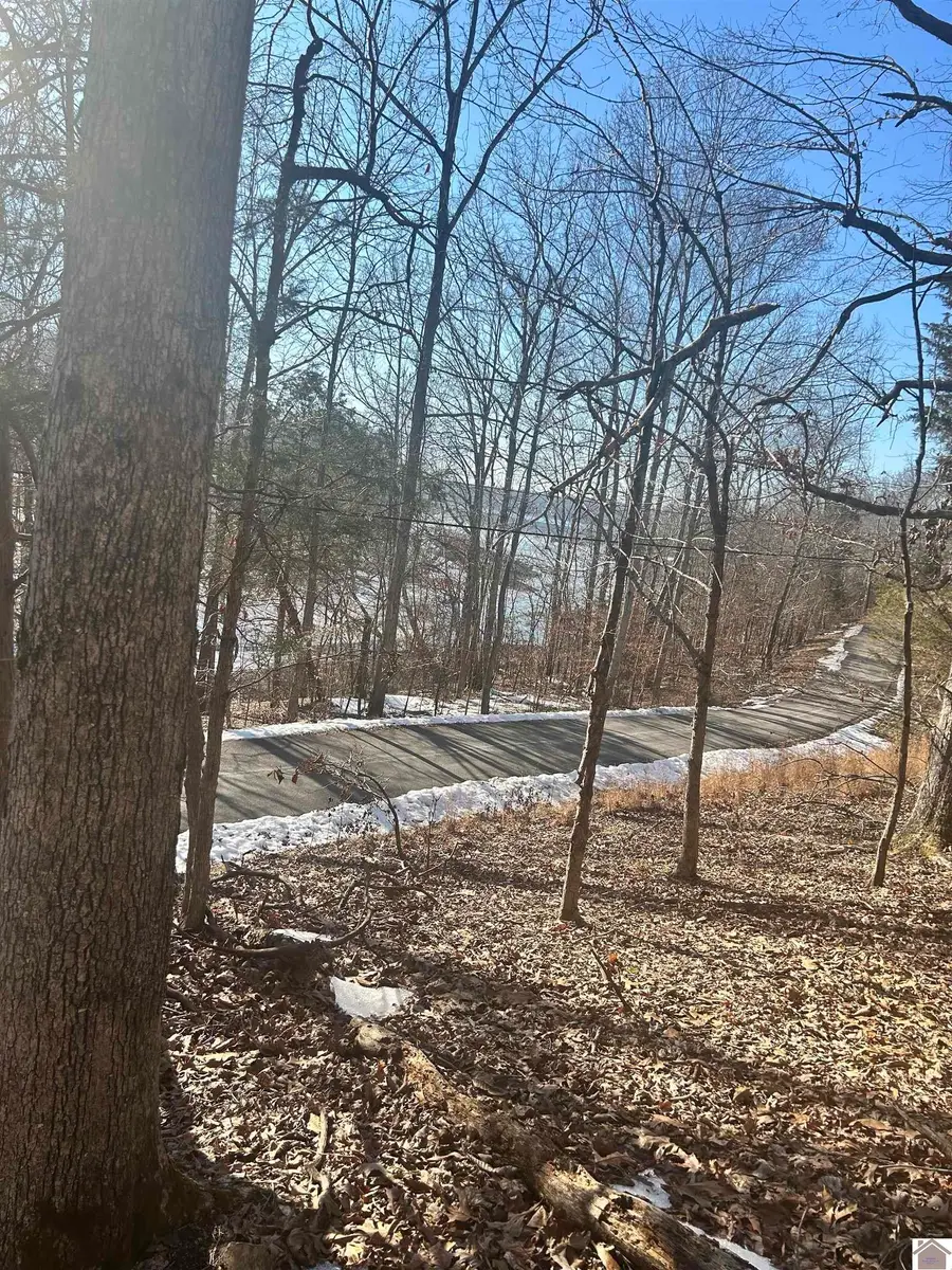 Lots 34&35 Canton Heights 2, Cadiz, KY 42211 - #2