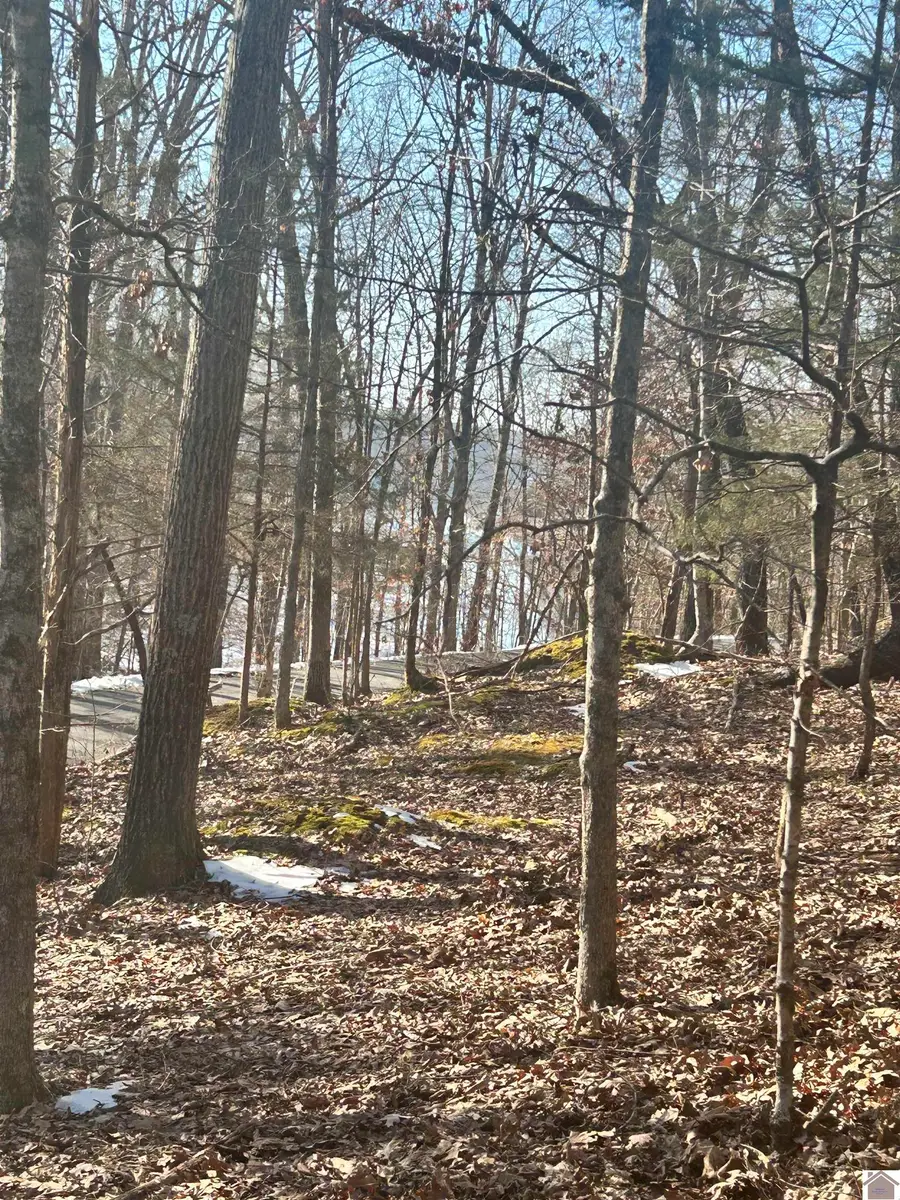 Lots 34&35 Canton Heights 2, Cadiz, KY 42211 - #3