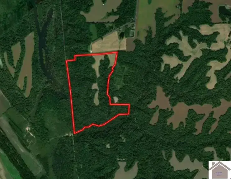000 Sandy Branch Road, Bardwell, KY 42023 - #1