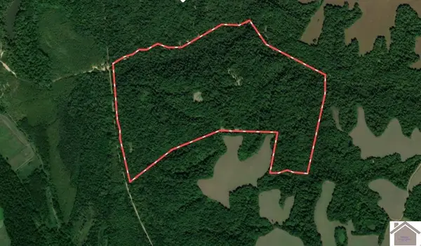 000 Sandy Branch Road, Bardwell, KY 42023