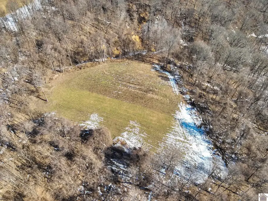 000 Sandy Branch Road, Bardwell, KY 42023 - #3