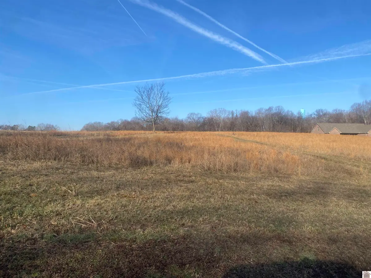 011 Bay Lane, Cadiz, KY 42211 - #1