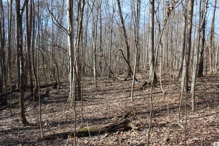 Lots 24e,25e,26 Parkersville Road, Eddyville, KY 42038 - #3