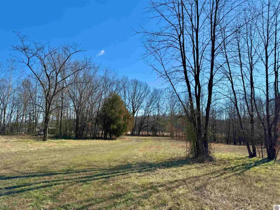 988 Chipps Rd, Smithland, KY 42081 - #3