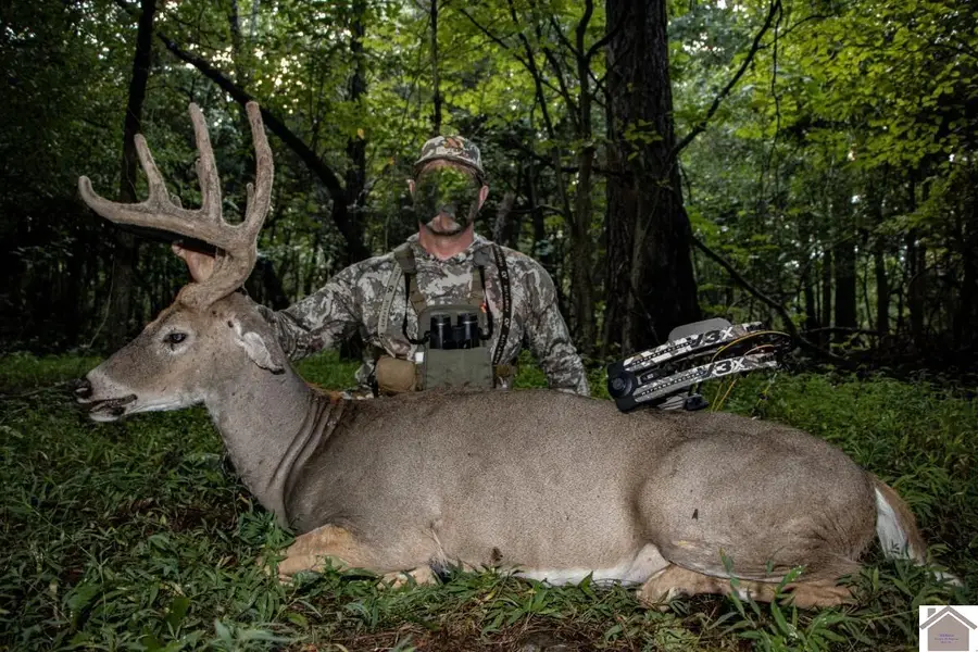 000 Lakewood Drive, Princeton, KY 42445 - #2