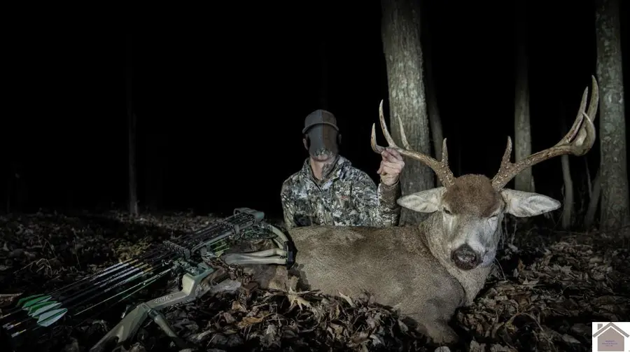 000 Lakewood Drive, Princeton, KY 42445 - #3