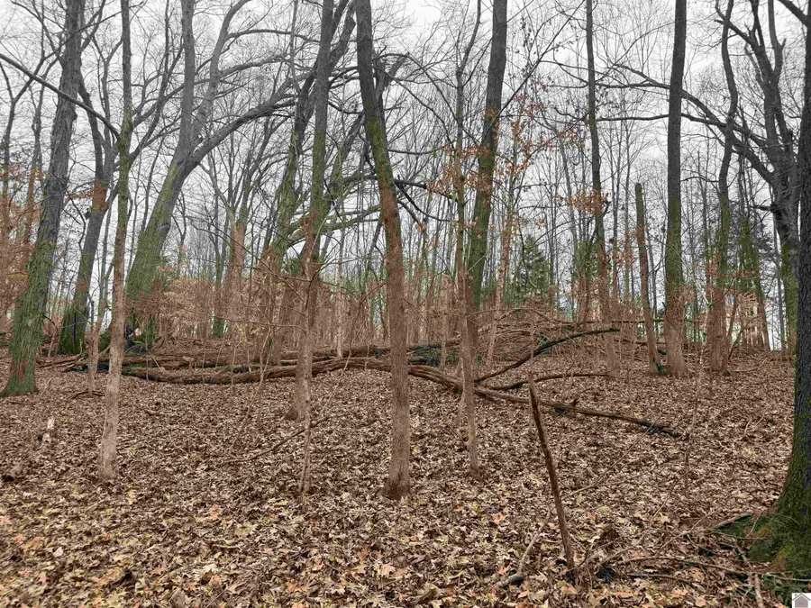 00 Morning Glory Drive, Cadiz, KY 42211 - #2