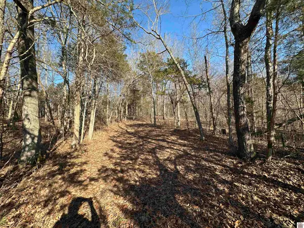 0 Highway 506, Marion, KY 42064