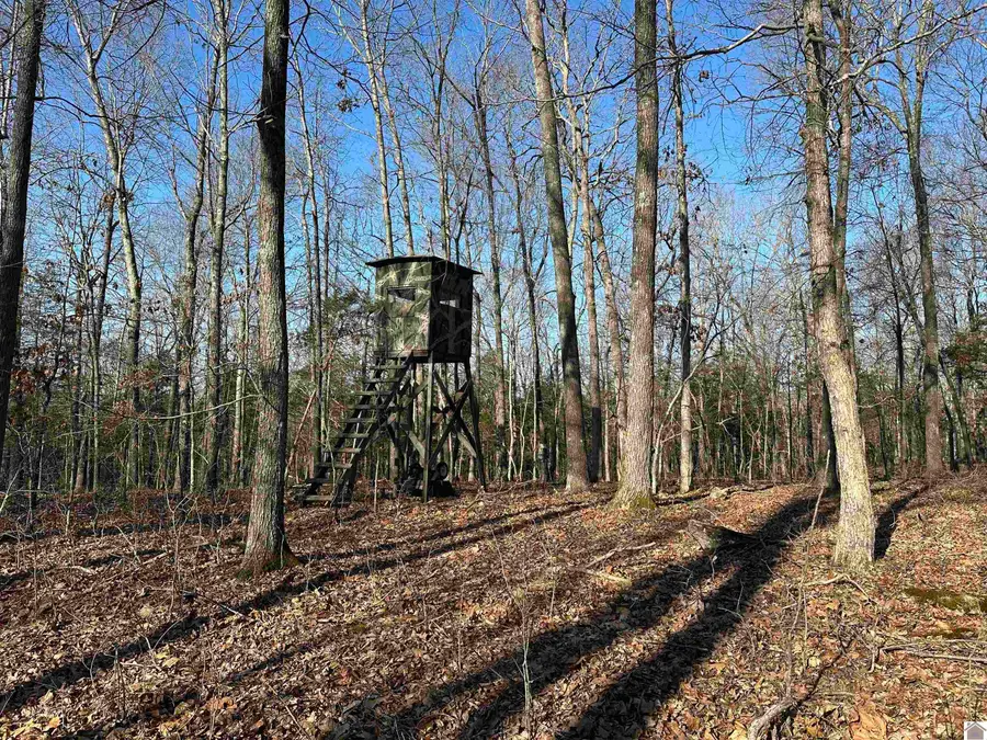 0 Highway 506, Marion, KY 42064 - #3