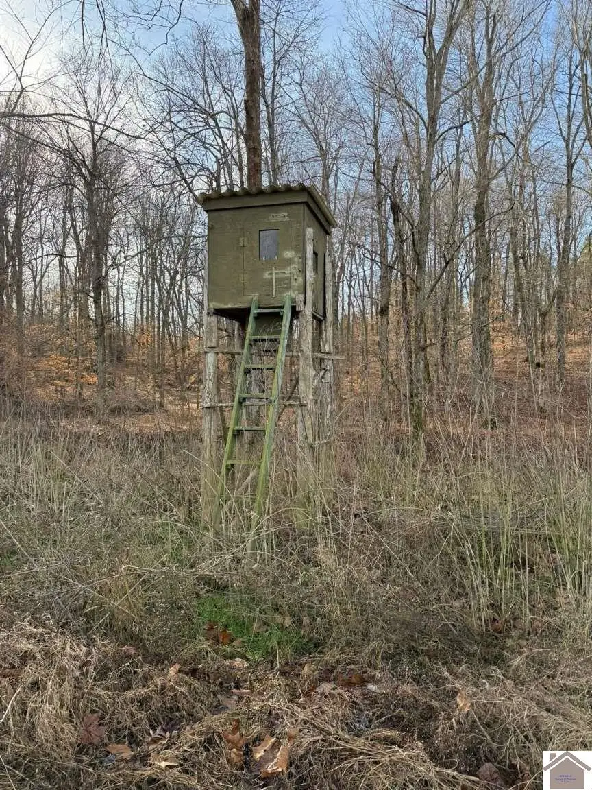 2052 Olney Rd, Princeton, KY 42445 - #1