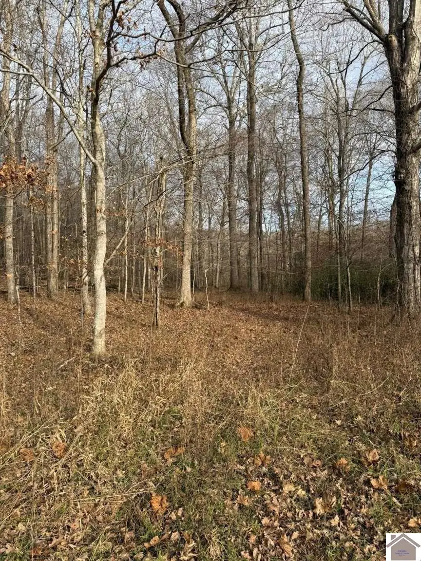 2052 Olney Rd, Princeton, KY 42445 - #3