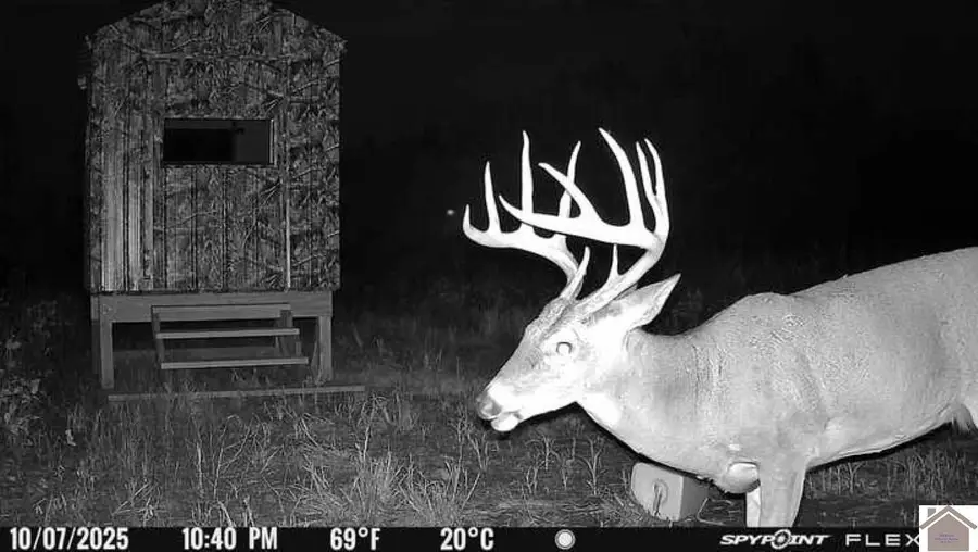 000 Whayne Road, Clinton, KY 42031 - #2