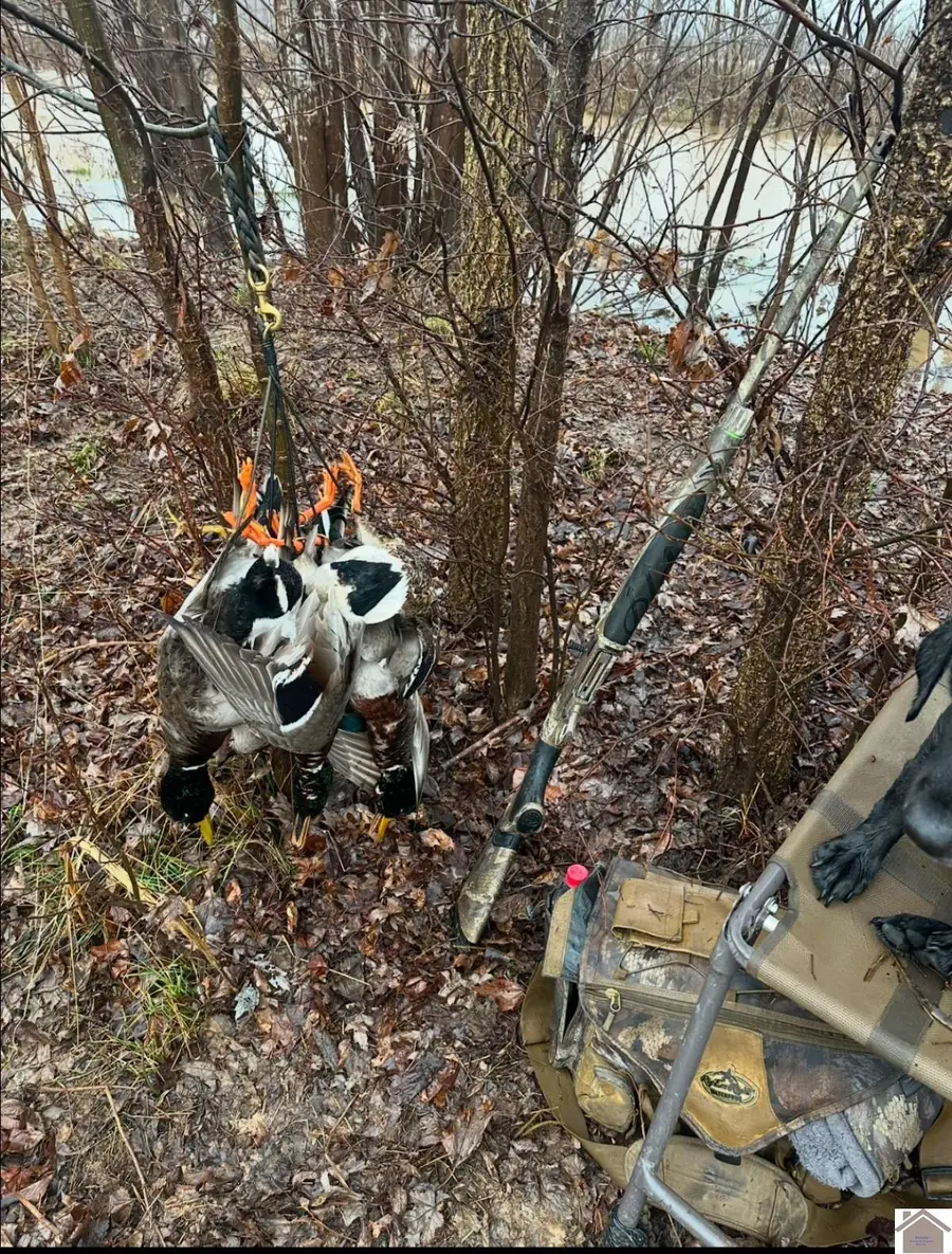 000 Whayne Road, Clinton, KY 42031 - #3