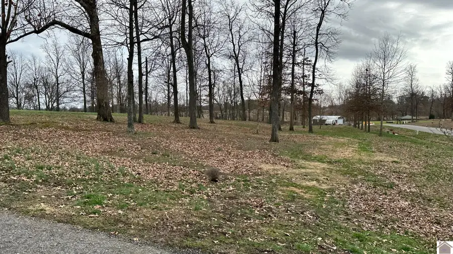 Smiths Lane, Mayfield, KY 42066 - #3